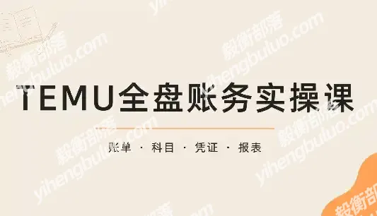 TEMU全盘账务实操课:账单导出、科目设置、利润核算-毅衡部落