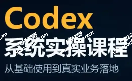 codex系统实操课程(更新10月)-毅衡部落