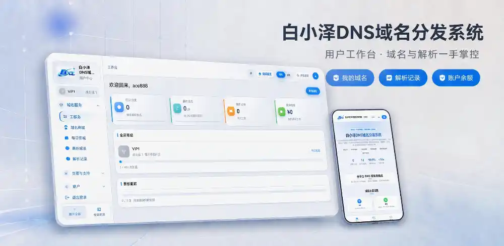 白小泽DNS域名分发系统 公测版 v1.0.0